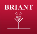 Bijouterie Briant